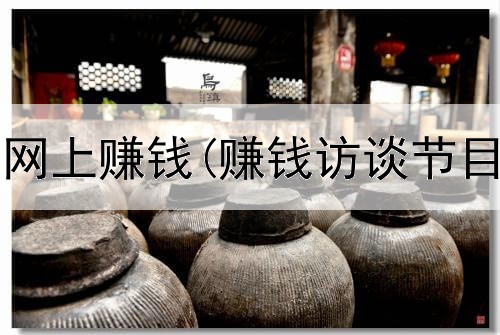 空闲时间在网上赚钱(赚钱访谈节目是真的吗)