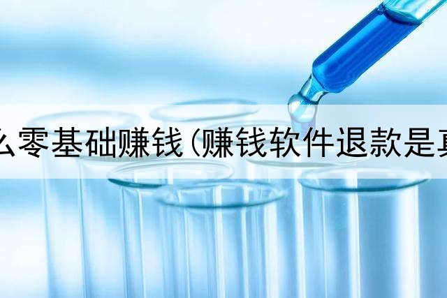 网上怎么零基础赚钱(赚钱软件退款是真的吗)