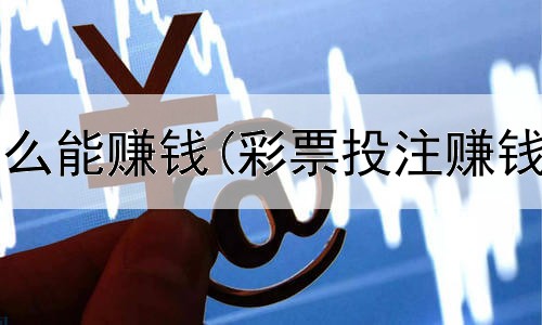 网上开店怎么能赚钱(彩票投注赚钱是真的吗)