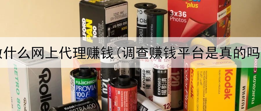 做什么网上代理赚钱(调查赚钱平台是真的吗)