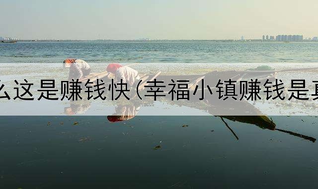 网上怎么这是赚钱快(幸福小镇赚钱是真的吗)