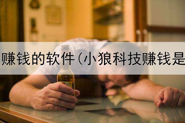 网上自己赚钱的软件(小狼科技赚钱是真的吗)