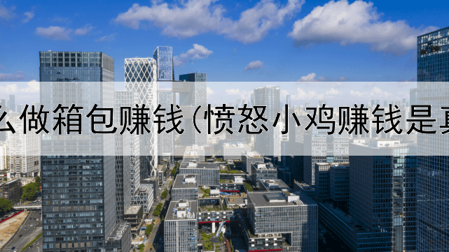 网上怎么做箱包赚钱(愤怒小鸡赚钱是真的吗)