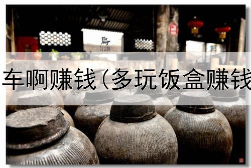 在网上咋租车啊赚钱(多玩饭盒赚钱是真的吗)