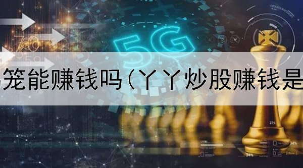 网上卖鸟笼能赚钱吗(丫丫炒股赚钱是真的吗)