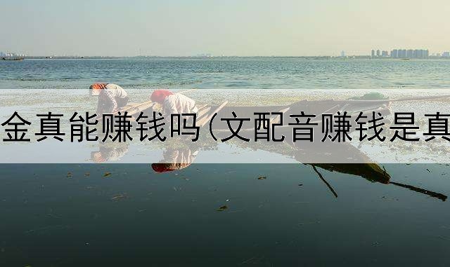 网上打金真能赚钱吗(文配音赚钱是真的吗)