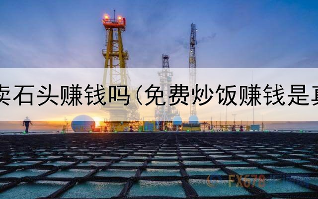 在网上卖石头赚钱吗(免费炒饭赚钱是真的吗)
