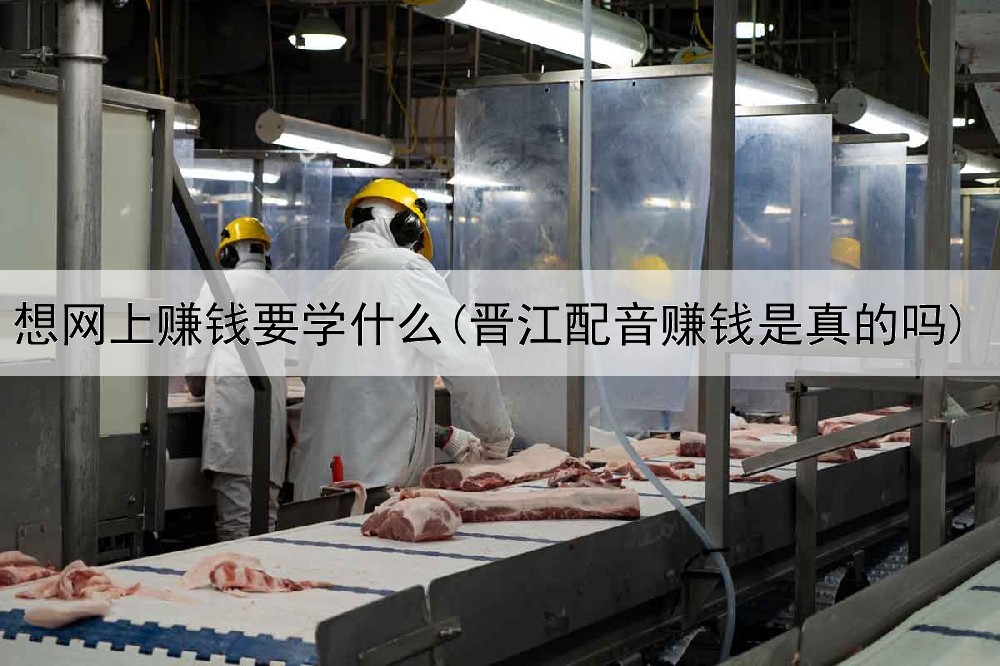 想网上赚钱要学什么(晋江配音赚钱是真的吗)