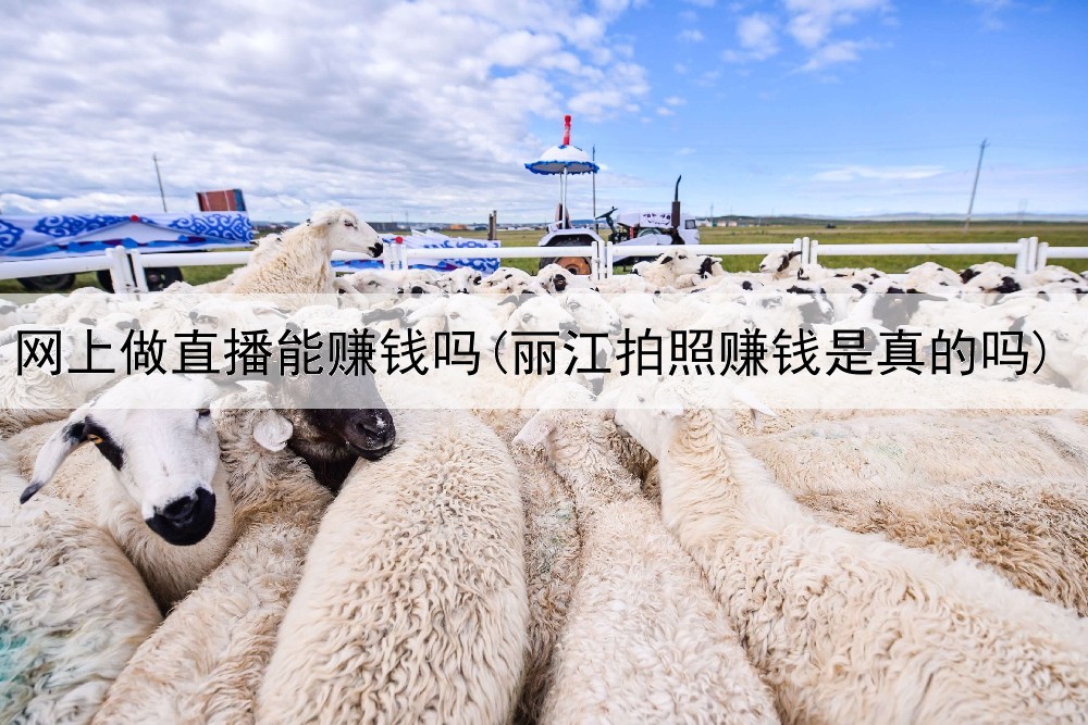 网上做直播能赚钱吗(丽江拍照赚钱是真的吗)
