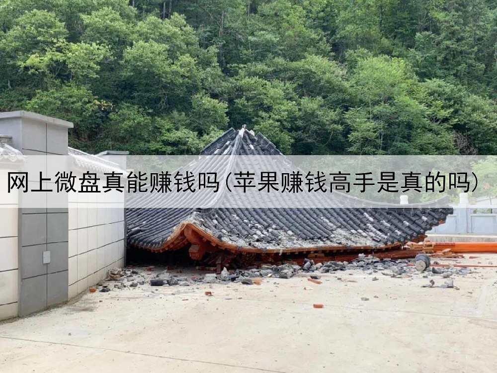 网上微盘真能赚钱吗(苹果赚钱高手是真的吗)