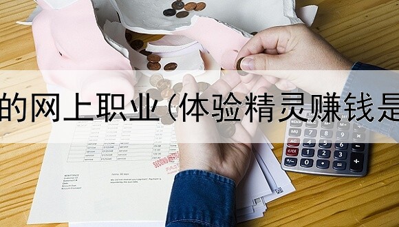 有哪赚钱的网上职业(体验精灵赚钱是真的吗)