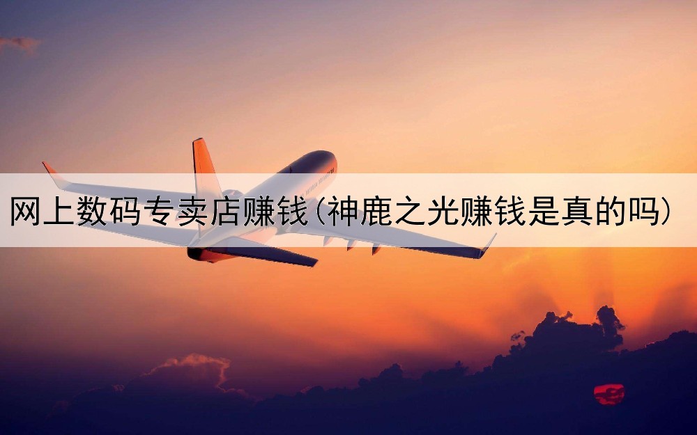 网上数码专卖店赚钱(神鹿之光赚钱是真的吗)