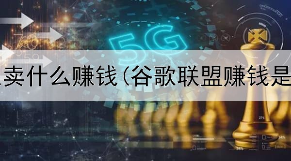 想在网上卖什么赚钱(谷歌联盟赚钱是真的吗)