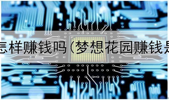 手机网上怎样赚钱吗(梦想花园赚钱是真的吗)