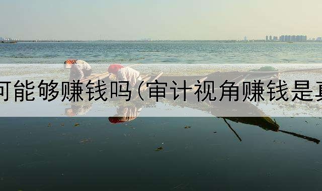 网上如何能够赚钱吗(审计视角赚钱是真的吗)