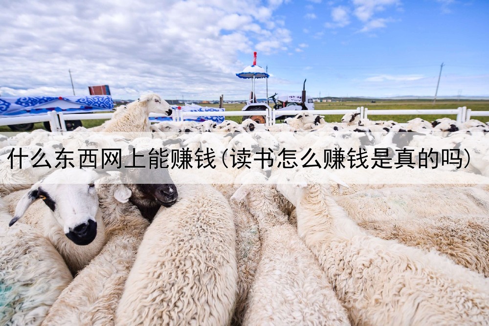 什么东西网上能赚钱(读书怎么赚钱是真的吗)