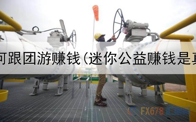 网上如何跟团游赚钱(迷你公益赚钱是真的吗)