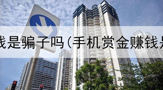 在网上赚钱是骗子吗(手机赏金赚钱是真的吗)