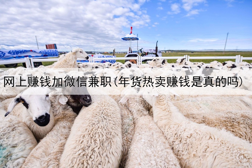 网上赚钱加微信兼职(年货热卖赚钱是真的吗)