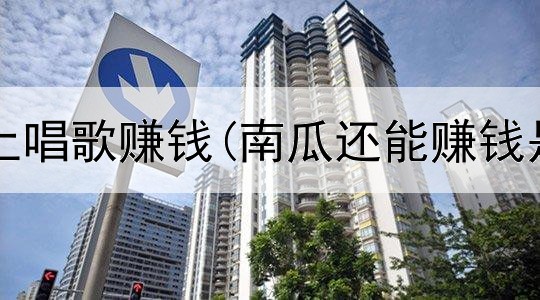 在征婚网上唱歌赚钱(南瓜还能赚钱是真的吗)