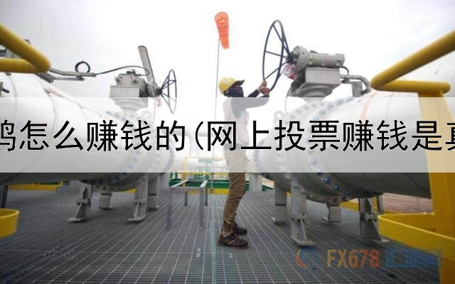 网上做鸭怎么赚钱的(网上投票赚钱是真的吗)