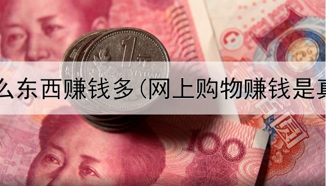网上什么东西赚钱多(网上购物赚钱是真的吗)