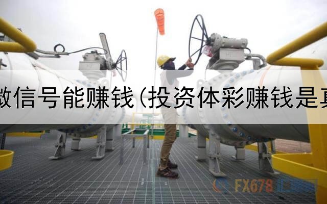 网上加微信号能赚钱(投资体彩赚钱是真的吗)