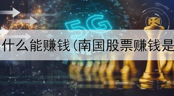  在网上卖什么能赚钱(南国股票赚钱是真的吗)