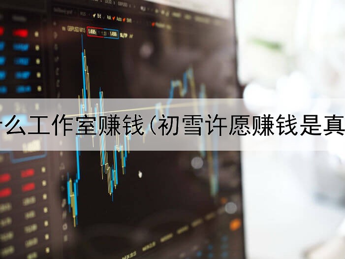  网上什么工作室赚钱(初雪许愿赚钱是真的吗)