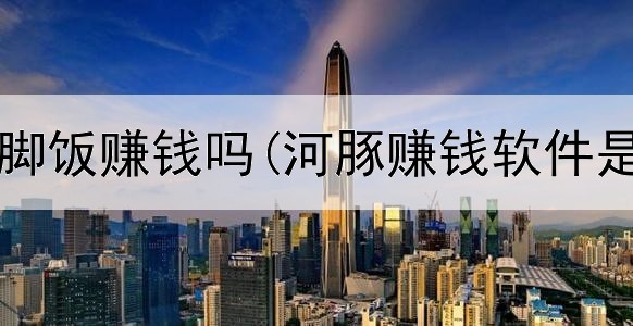 网上卖猪脚饭赚钱吗(河豚赚钱软件是真的吗)