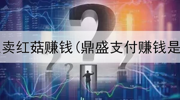如何网上卖红菇赚钱(鼎盛支付赚钱是真的吗)