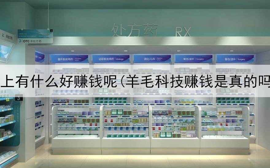 网上有什么好赚钱呢(羊毛科技赚钱是真的吗)