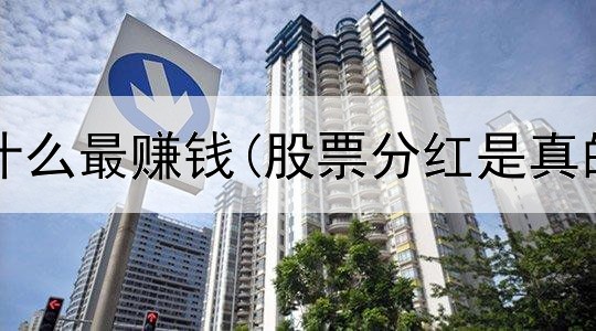 网上代卖什么最赚钱(股票分红是真的赚钱吗)