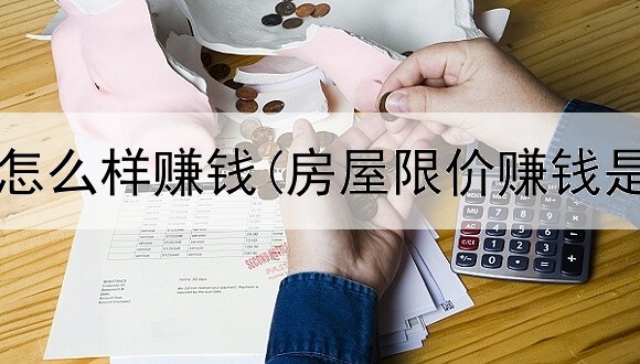 网上打手怎么样赚钱(房屋限价赚钱是真的吗)