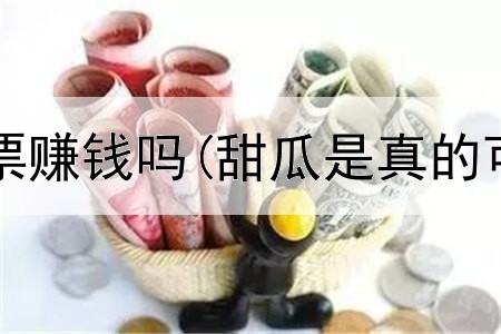 在网上买机票赚钱吗(甜瓜是真的可以赚钱吗)