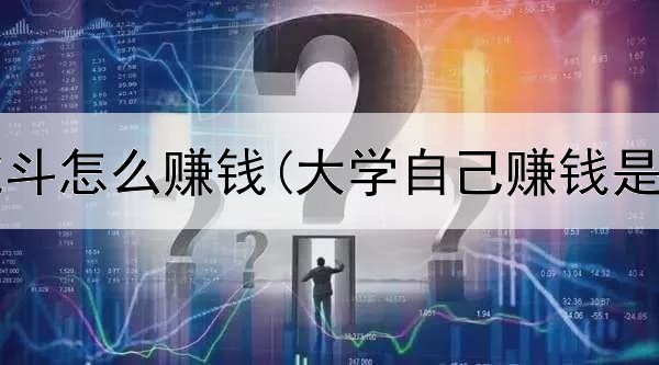 网上龙虎斗怎么赚钱(大学自己赚钱是真的吗)