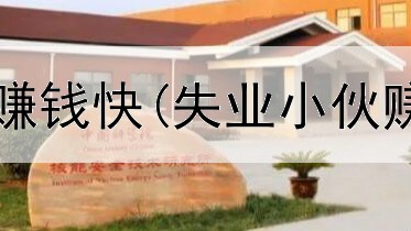 网上那款软件赚钱快(失业小伙赚钱是真的吗)