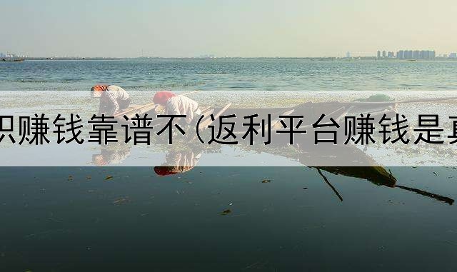 网上兼职赚钱靠谱不(返利平台赚钱是真的吗)