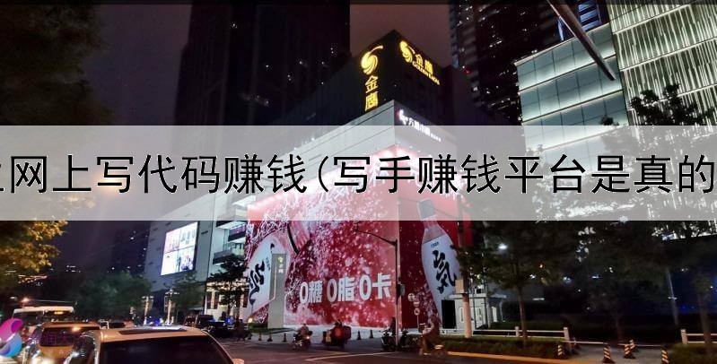 学生网上写代码赚钱(写手赚钱平台是真的吗)