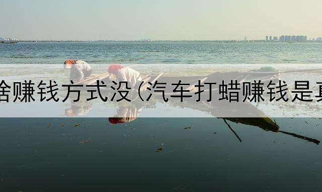 网上有啥赚钱方式没(汽车打蜡赚钱是真的吗)