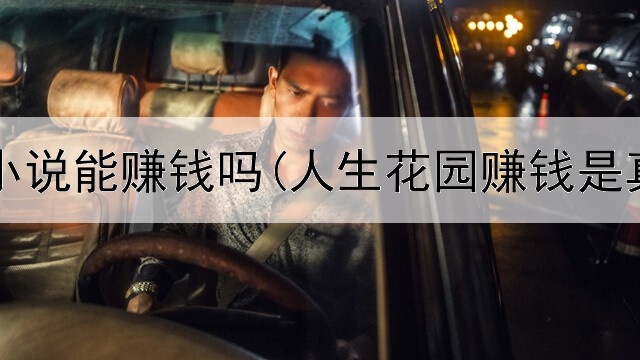 网上买小说能赚钱吗(人生花园赚钱是真的吗)