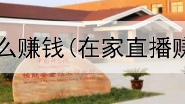 网上代理书怎么赚钱(在家直播赚钱是真的吗)