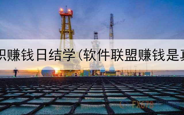 网上兼职赚钱日结学(软件联盟赚钱是真的吗)