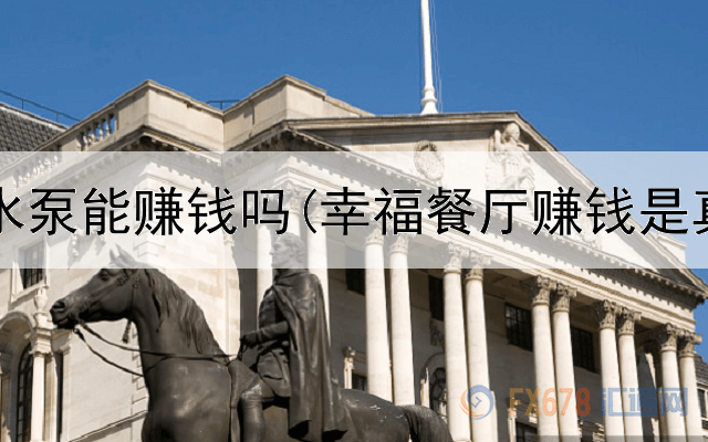 网上卖水泵能赚钱吗(幸福餐厅赚钱是真的吗)