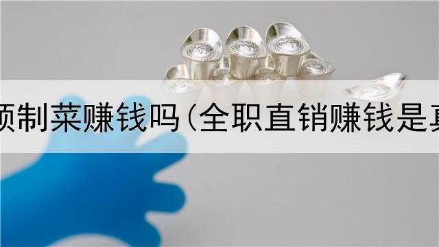 网上买预制菜赚钱吗(全职直销赚钱是真的吗)