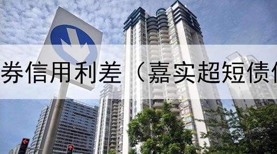  杠杆率对债券信用利差（嘉实超短债债券C分红）