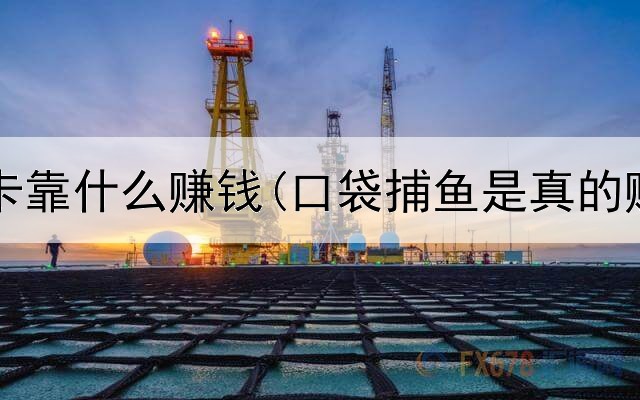  网上卖卡靠什么赚钱(口袋捕鱼是真的赚钱吗)