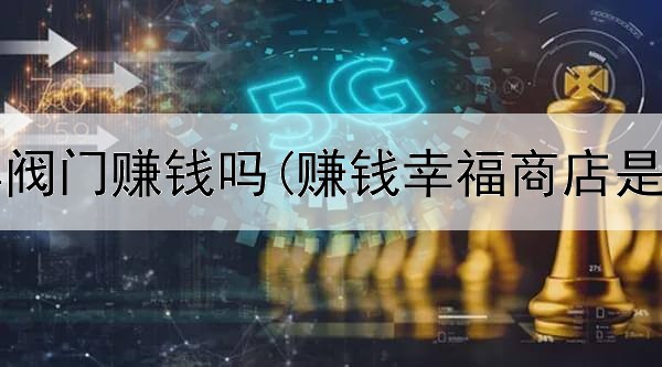在网上卖阀门赚钱吗(赚钱幸福商店是真的吗)