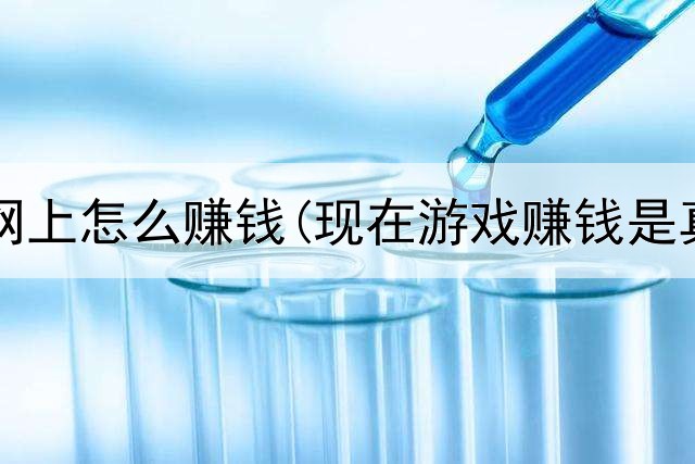 无投资网上怎么赚钱(现在游戏赚钱是真的吗)