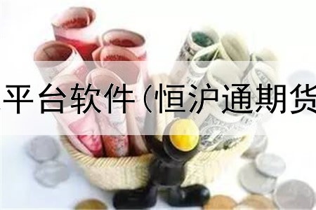  期货德指正规平台软件(恒沪通期货的官网平台)